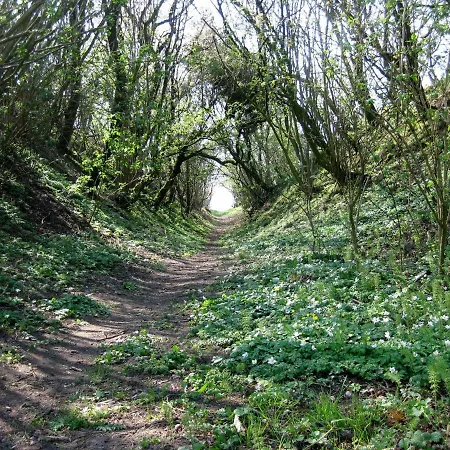 Country house Feriegarden I Floutrup Roslev