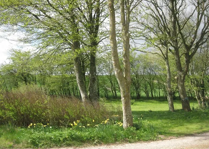 Feriegarden I Floutrup Kır Evi *